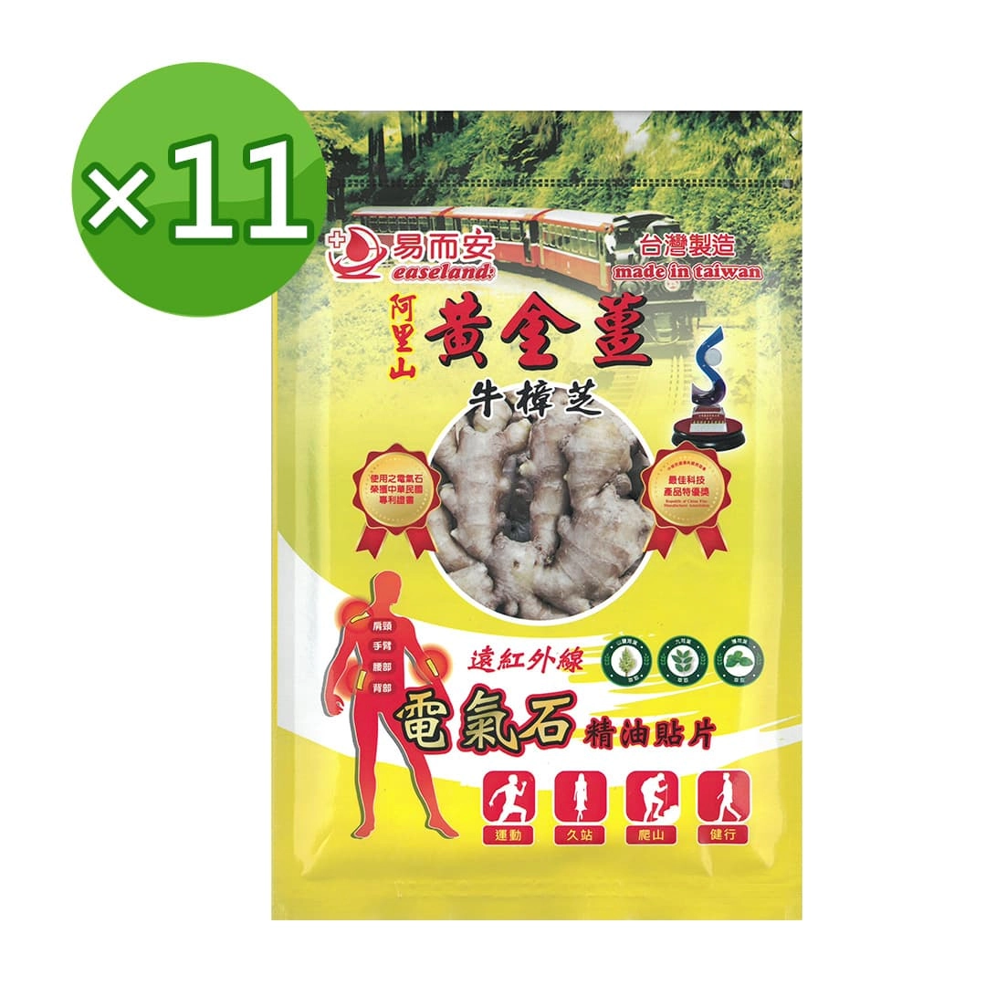 【易而安】黃金薑磁石貼布 11入組