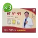 專訪限定 買二送一【金石】紅蚯蚓