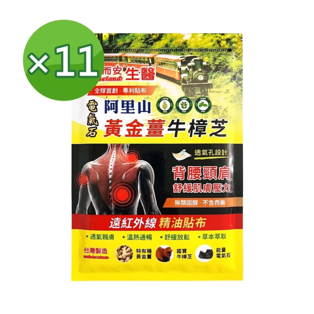 【易而安】黃金薑磁石貼布 11入組